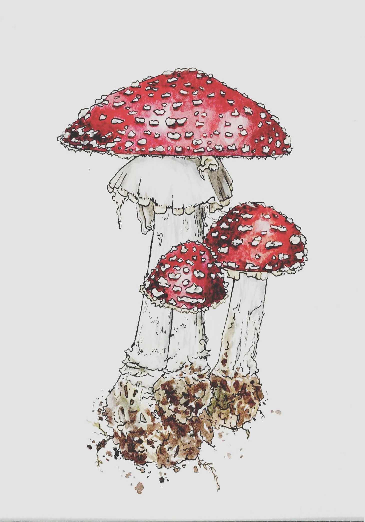 shrooms_red_VSCO.jpeg