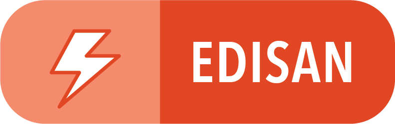 Graphic design with a lightning bolt icon and the word EDISAN on an orange background