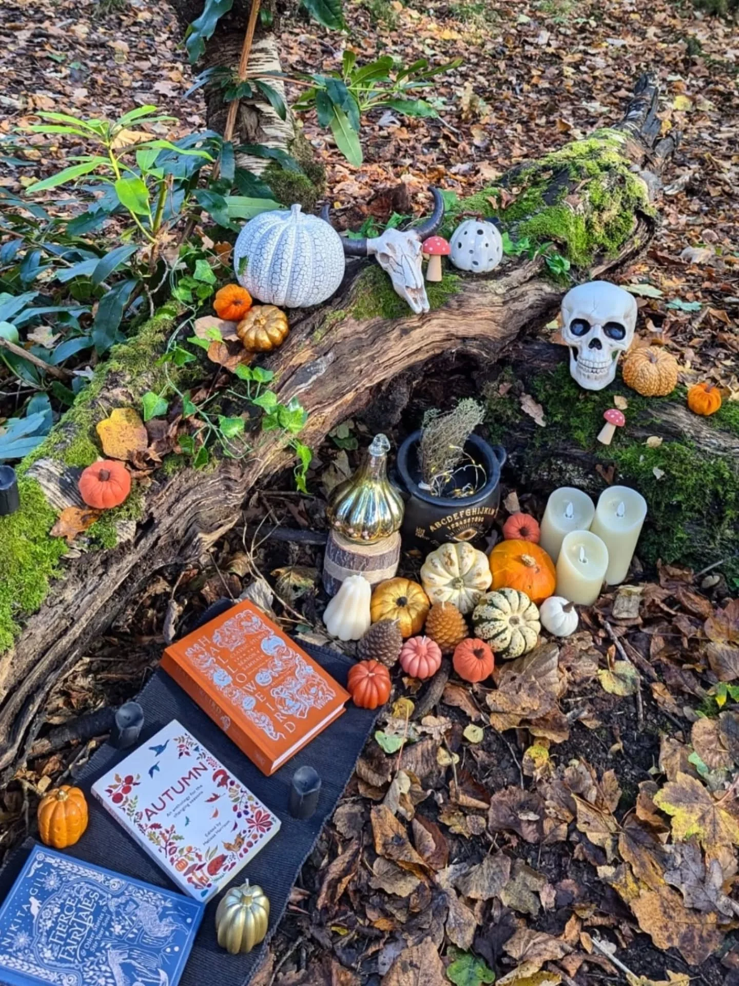 🕸️ Samhain Nature Walkshop 🕸️

Samhain is the Celtic pagan origins of what we now call Halloween. The wheel of the year invites us into natures cycles and offers an opportunity to celebrate, reflect and connect to the season. 

During this event yo
