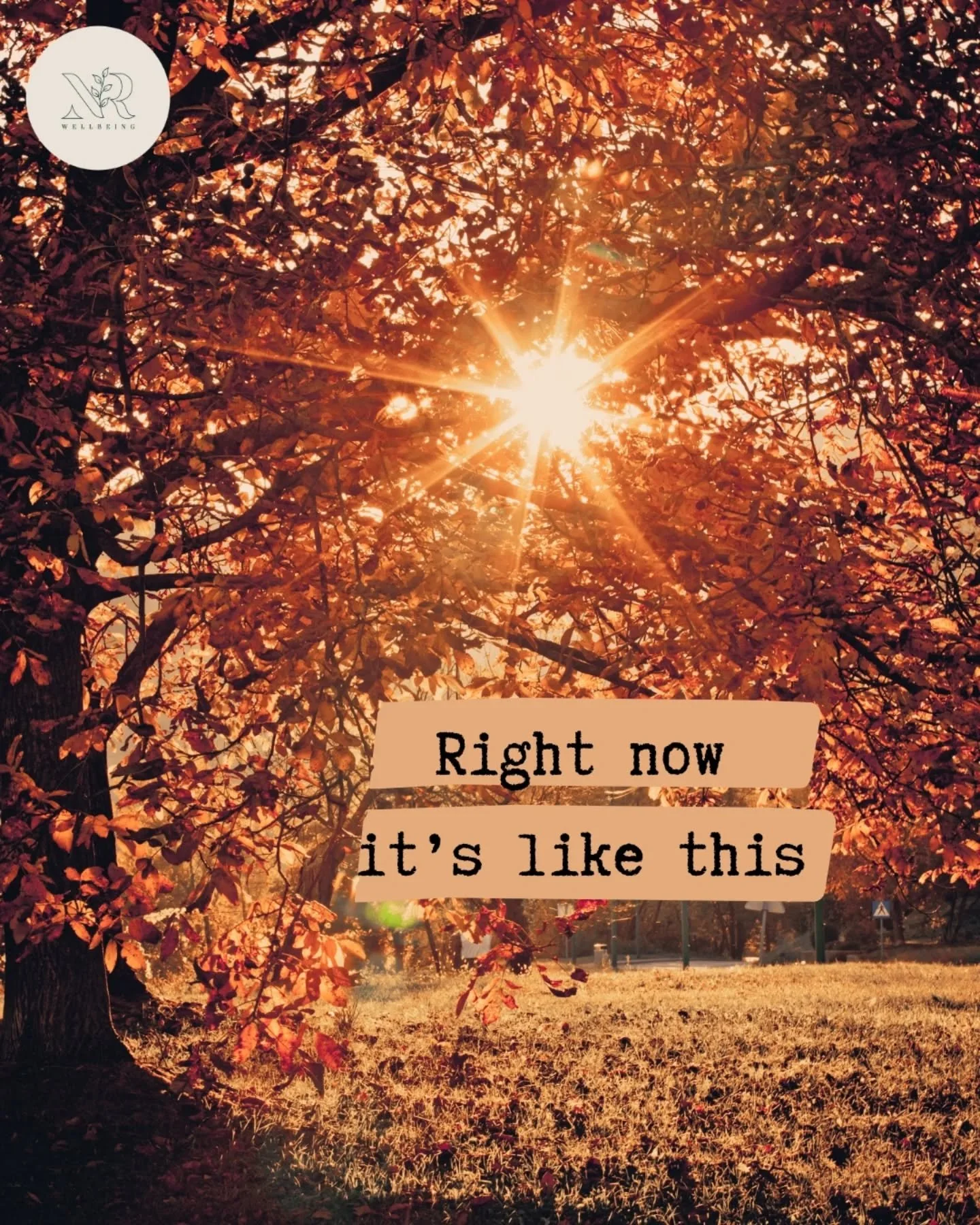 Here's a simple but powerful mindfulness phrase to use in daily life: &quot;right now it's like this&quot;.

This phrase helps us practice three major mindfulness skills

Awareness - what is happening right now? Within you, and around you. What emoti