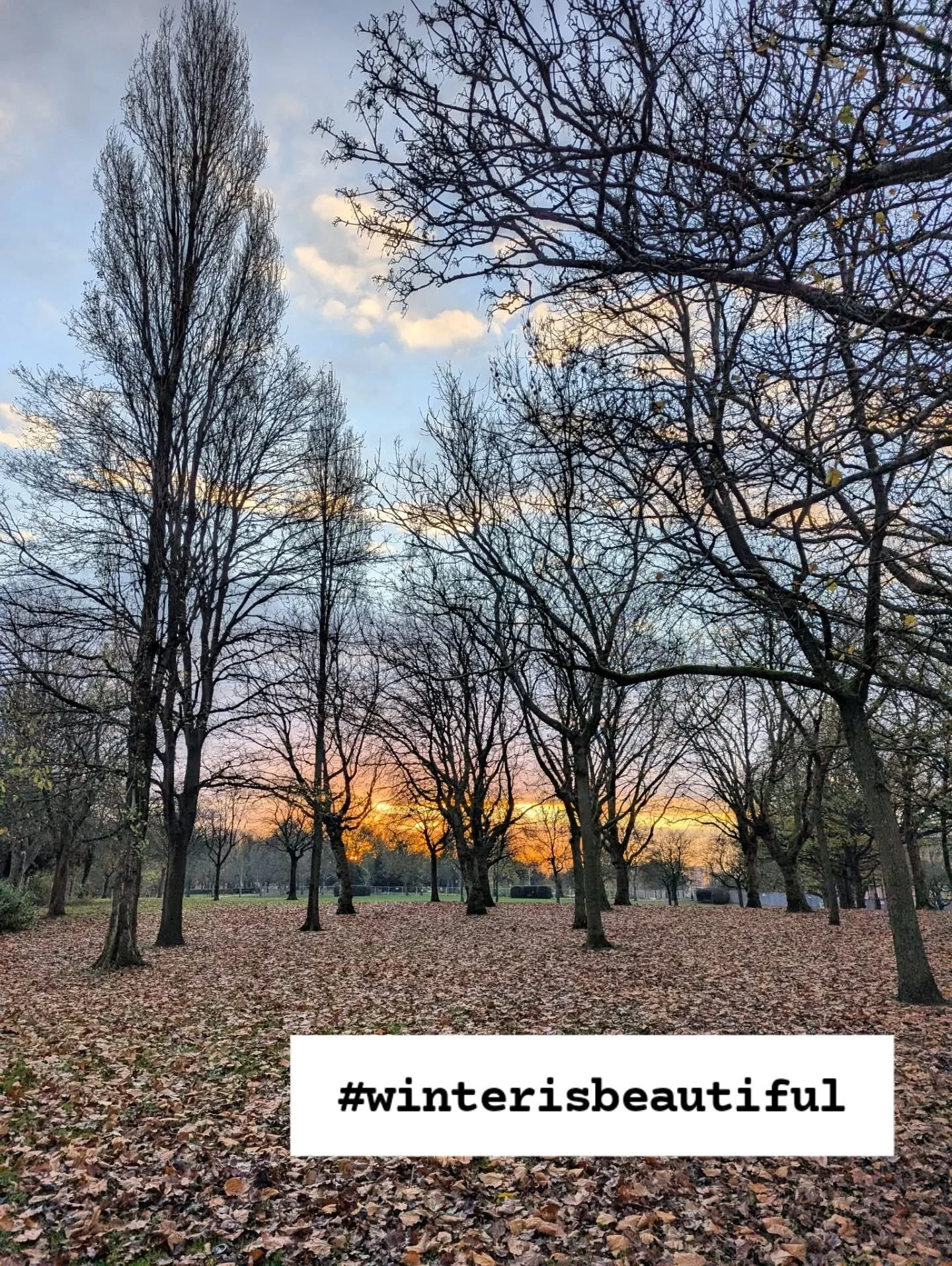 One of my favourite things about winter is the beautiful sunrises that happens at a very reasonable hour 🌄 combine this with frosty leaves and a winter walk is the perfect start to the day.

A big part of winter wellbeing is developing a positive wi