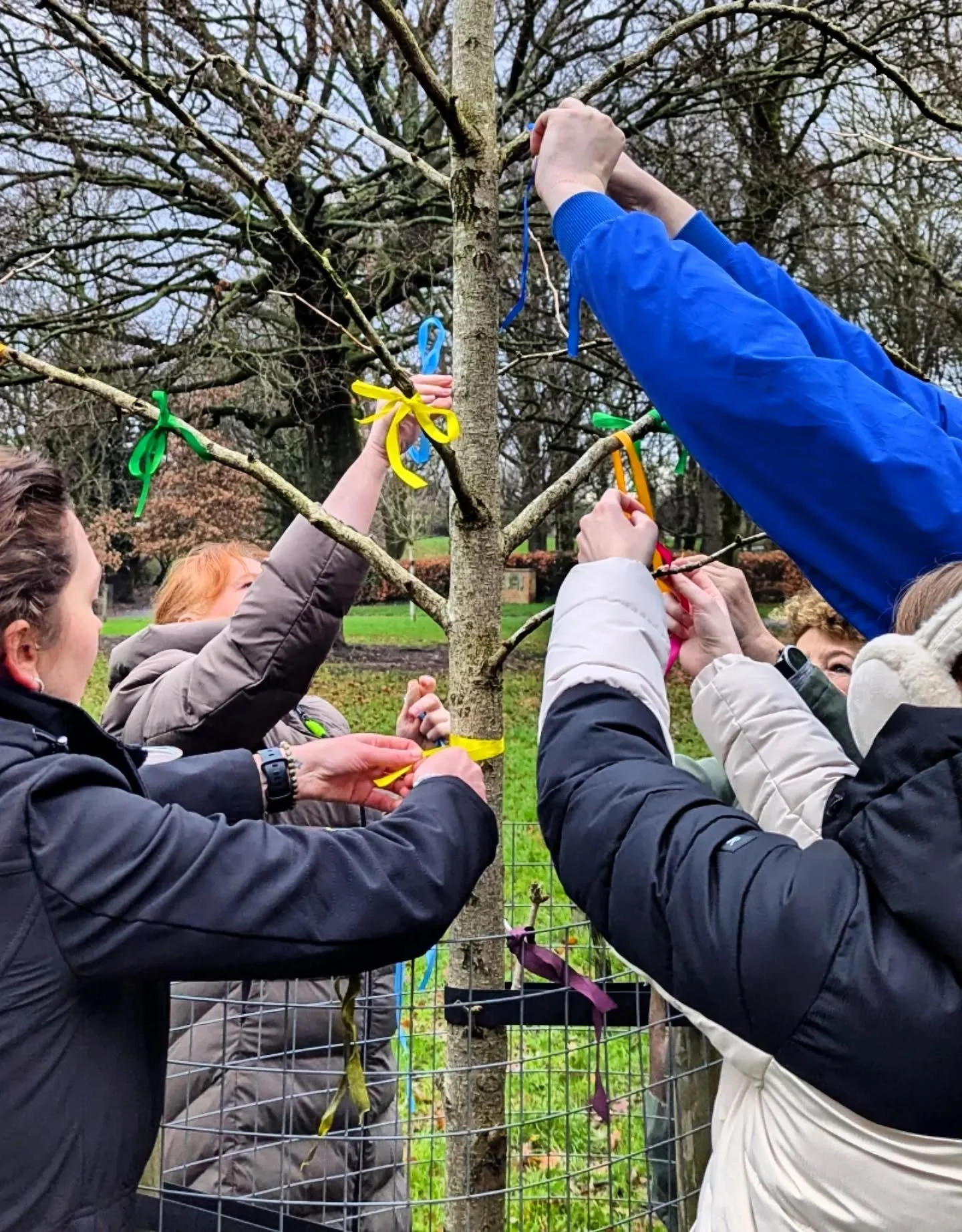 ✨💕 Winter Solstice part 1: qigong &amp; mindful walk in the park ✨💕

This was my last community mindful morning session at my local park for the year; it made sense for me to finish with a solstice special! We did some qigong stretches and breathin