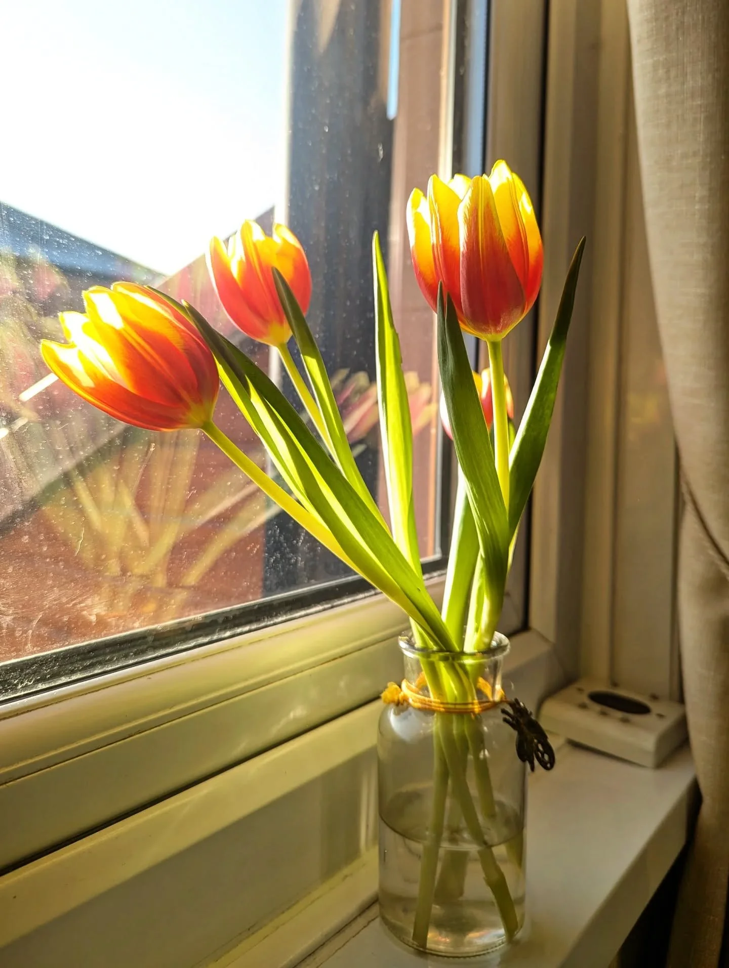 When you #noticebeauty but also notice how badly your windows need cleaning 😬

The news cycle is, yet again, incredibly distressing. Which makes moments of simplicity, levity, joy and peace all the more vital. I implore you to seek them out, or even