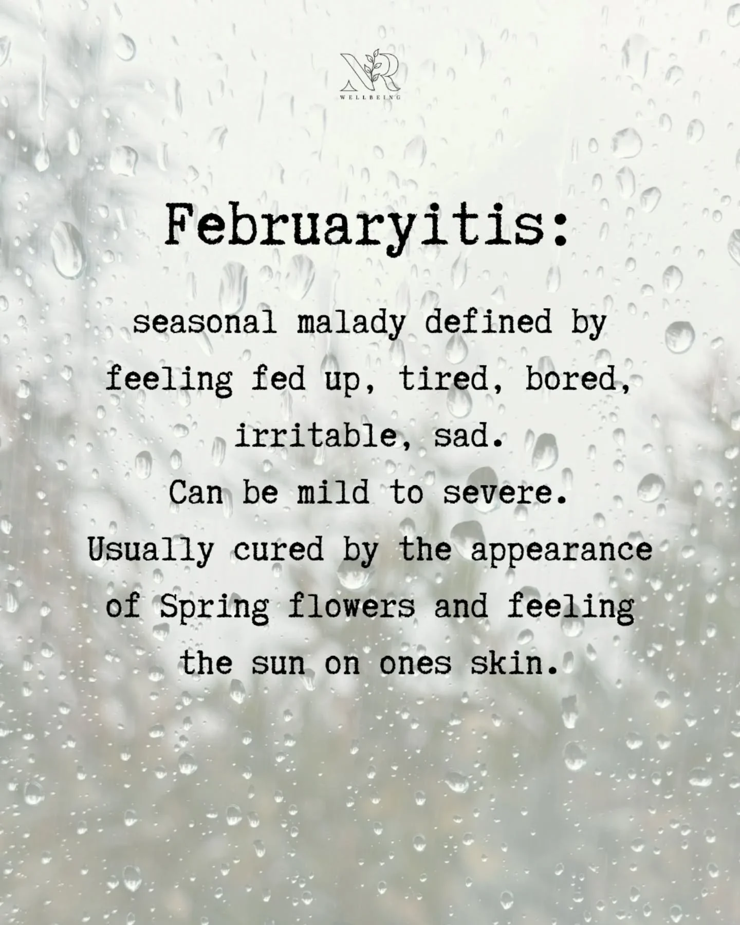 Sun comes out --> literally everyone in the UK: "gosh, it really makes a difference doesn't it!" 😎 

Yes, biologically, emotionally, spiritually....for a lot of us, the sunshine - or lack of it - really impacts how we feel. Wetter winte