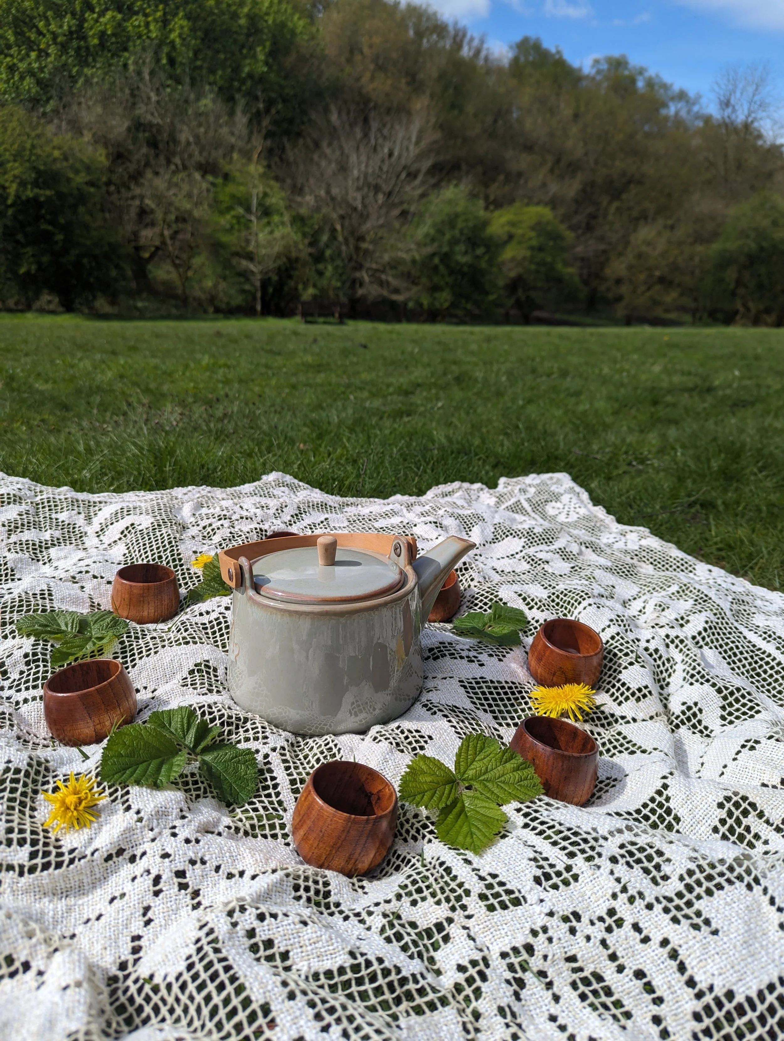 The Shinrin-Yoku (Forest Bathing) experience