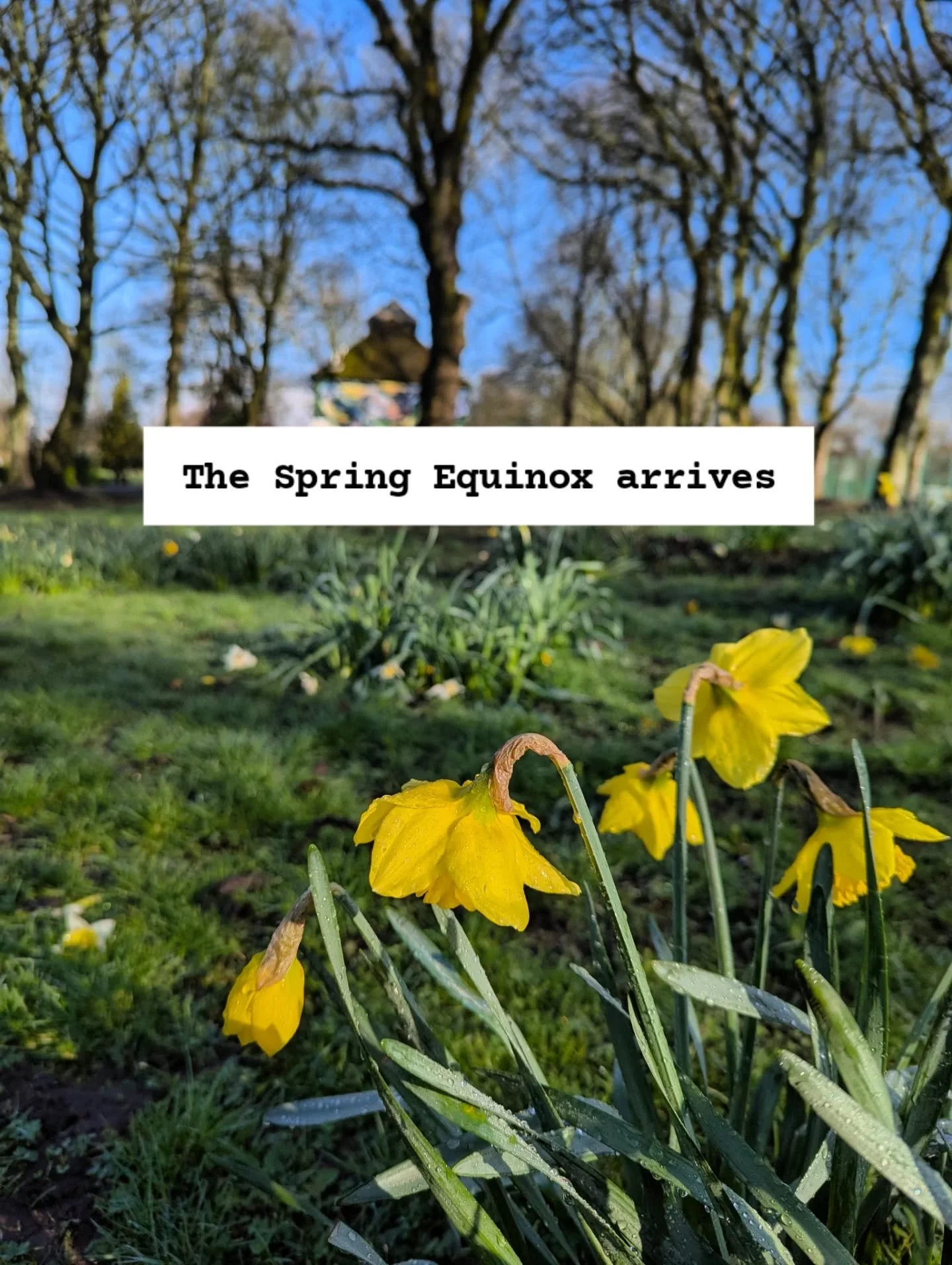 🌸💚 Spring Equinox 💚🌸

We arrive at Ostara. The Equinoxes are an opportunity to rebalance yourself, remembering that balance feels different in each season.

There are 2 spots left at my Spring Mini Retreat this Sunday if you'd like to join me (DM