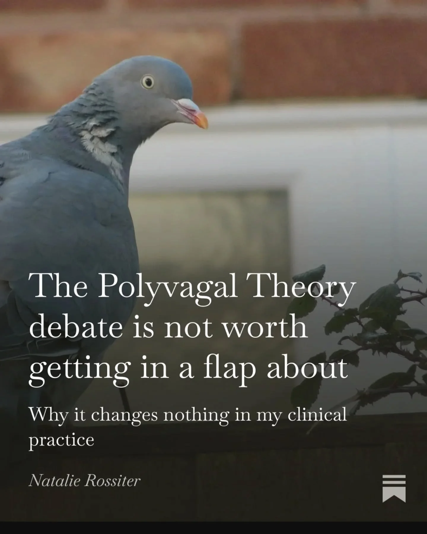 Over the last week I bit the bullet and properly researched the recent debate around polyvagal theory (a nervous system theory that's used for trauma recovery &amp; other mental health issues). 

I admit, I was worried. I'd procrastinated reading up 