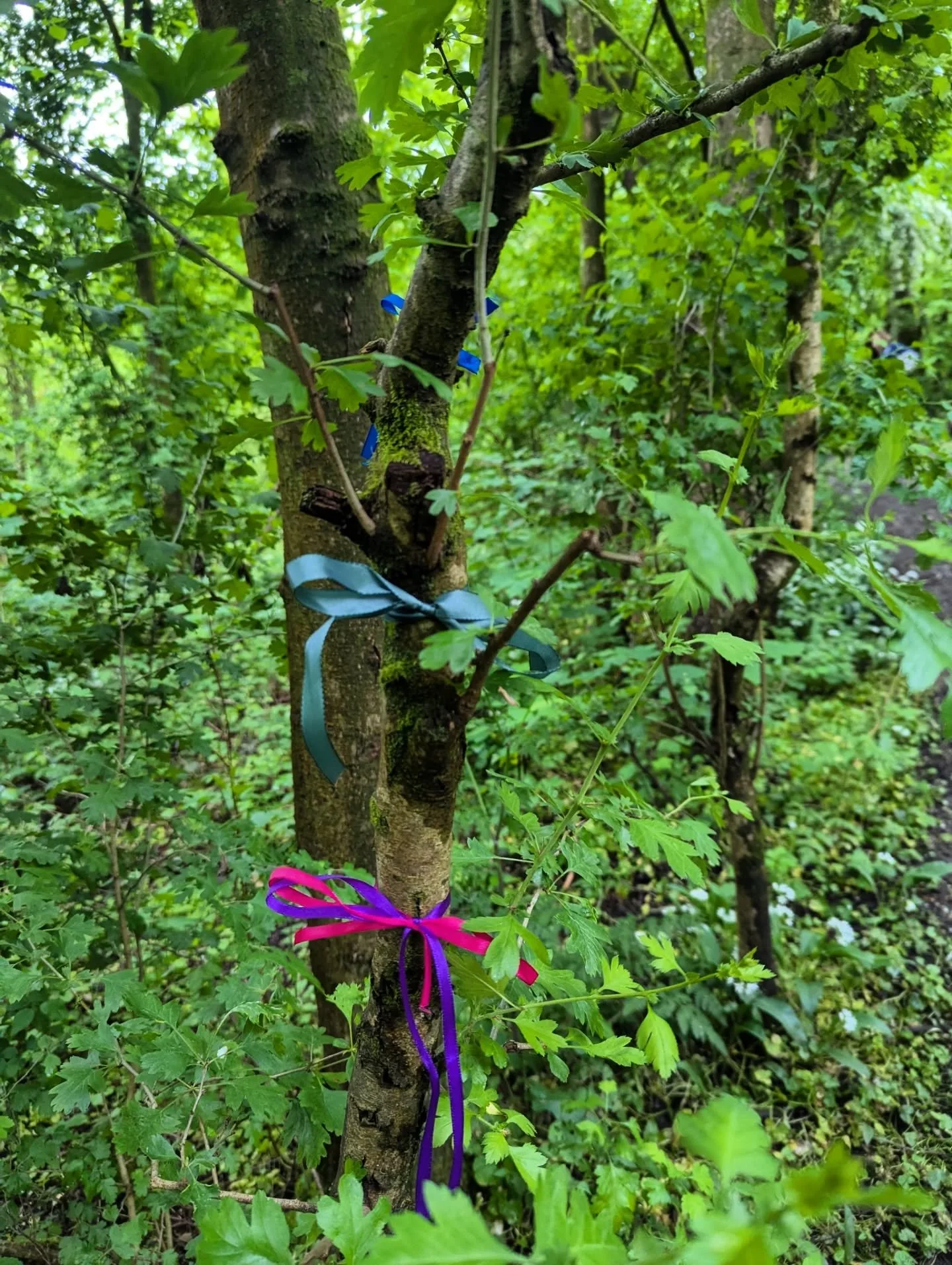 🌸 Beltane wellbeing in nature session 🌸
I nearly cancelled this event and I'm *so* glad I didn't!
Earlier in the week I just had 3 bookings, and I thought about calling it off. But then I remembered it's about quality not quantity with these events