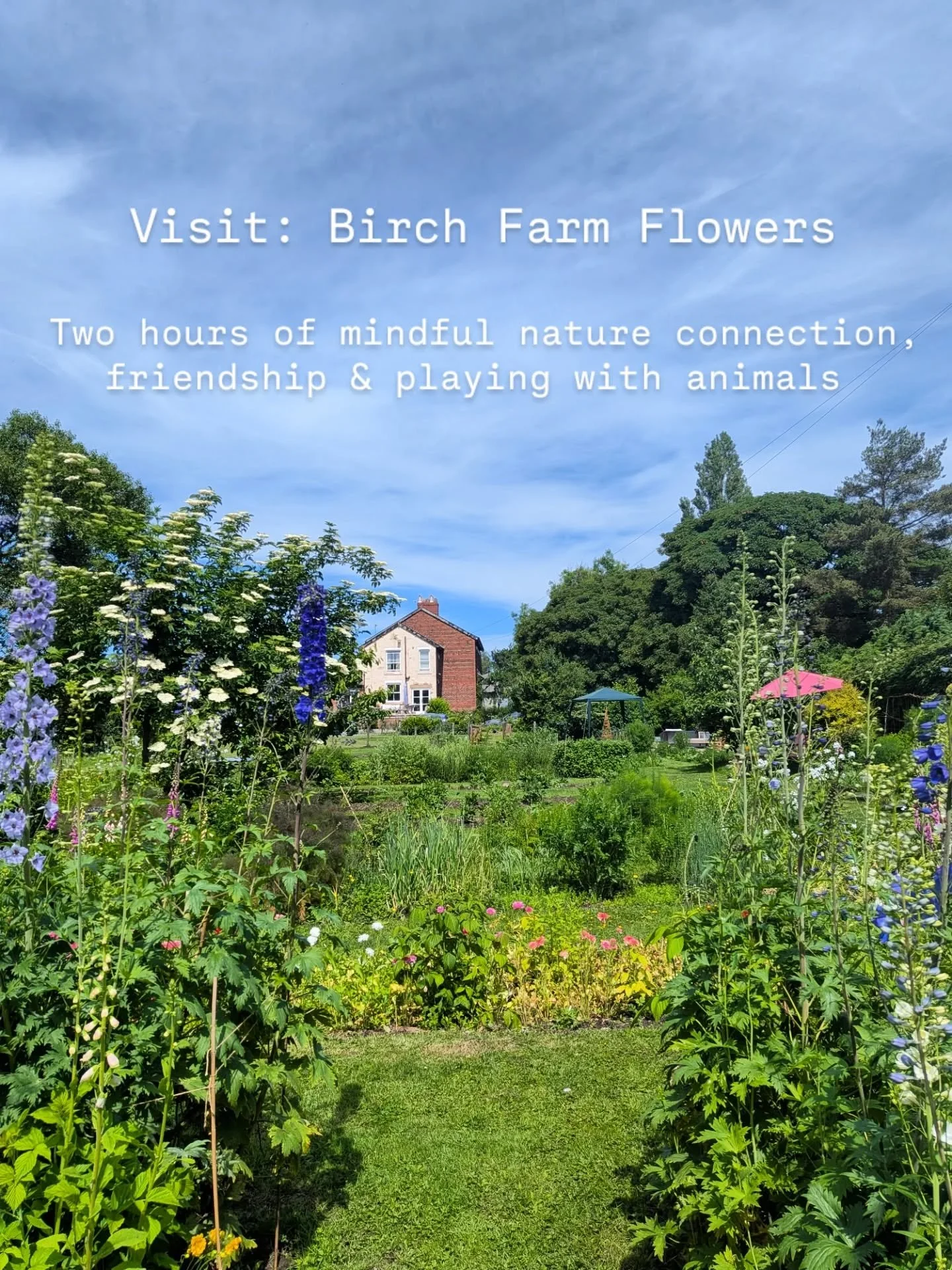 This year I treated myself to a flower club membership at @birchfarmflowers in Salford. Having previously attended a pick your own session and run a mindfulness event here I was familiar with the farm and lovely Elizabeth who runs it, so I knew it wo