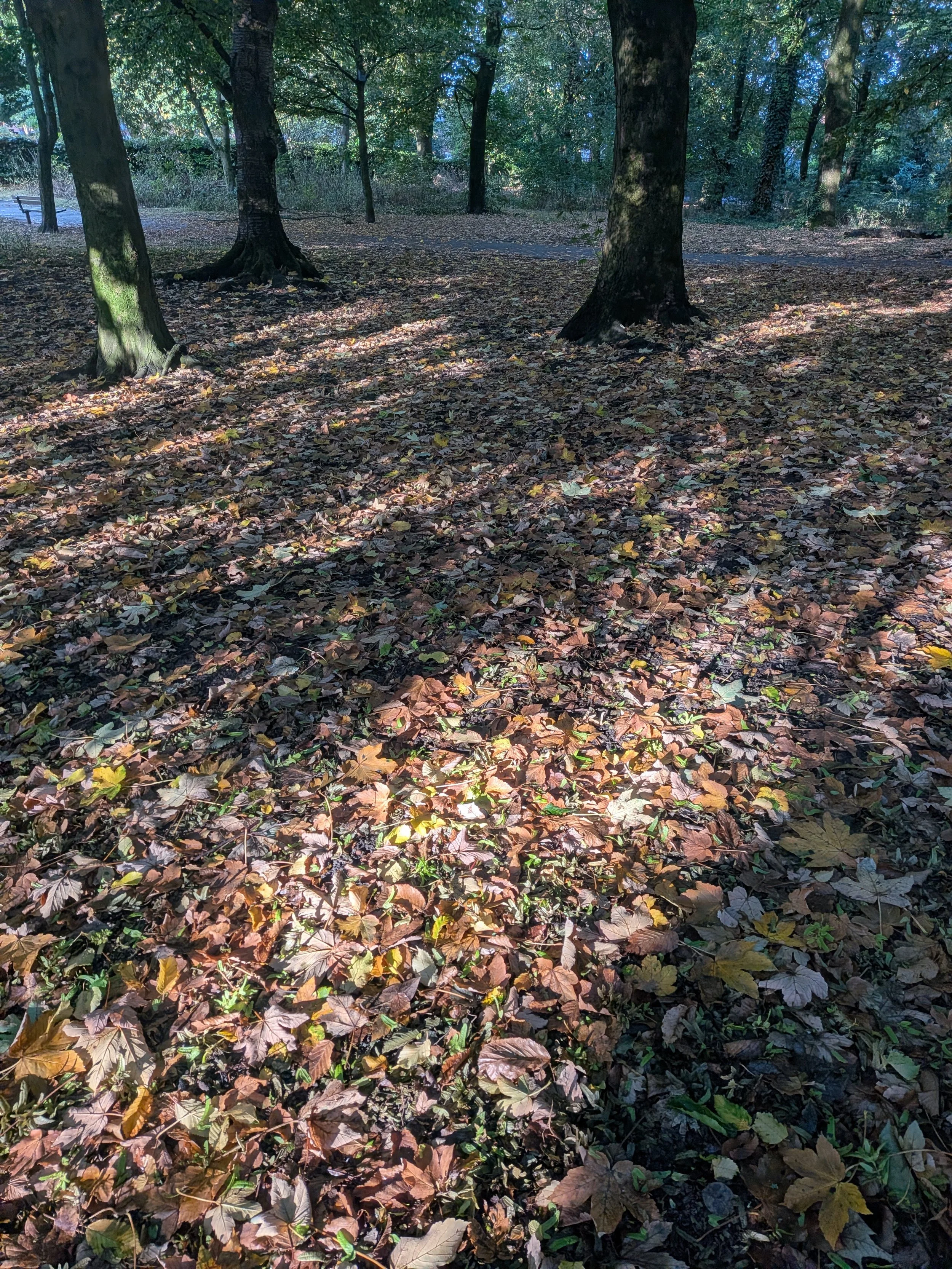PXL_20260821_070125537.jpg