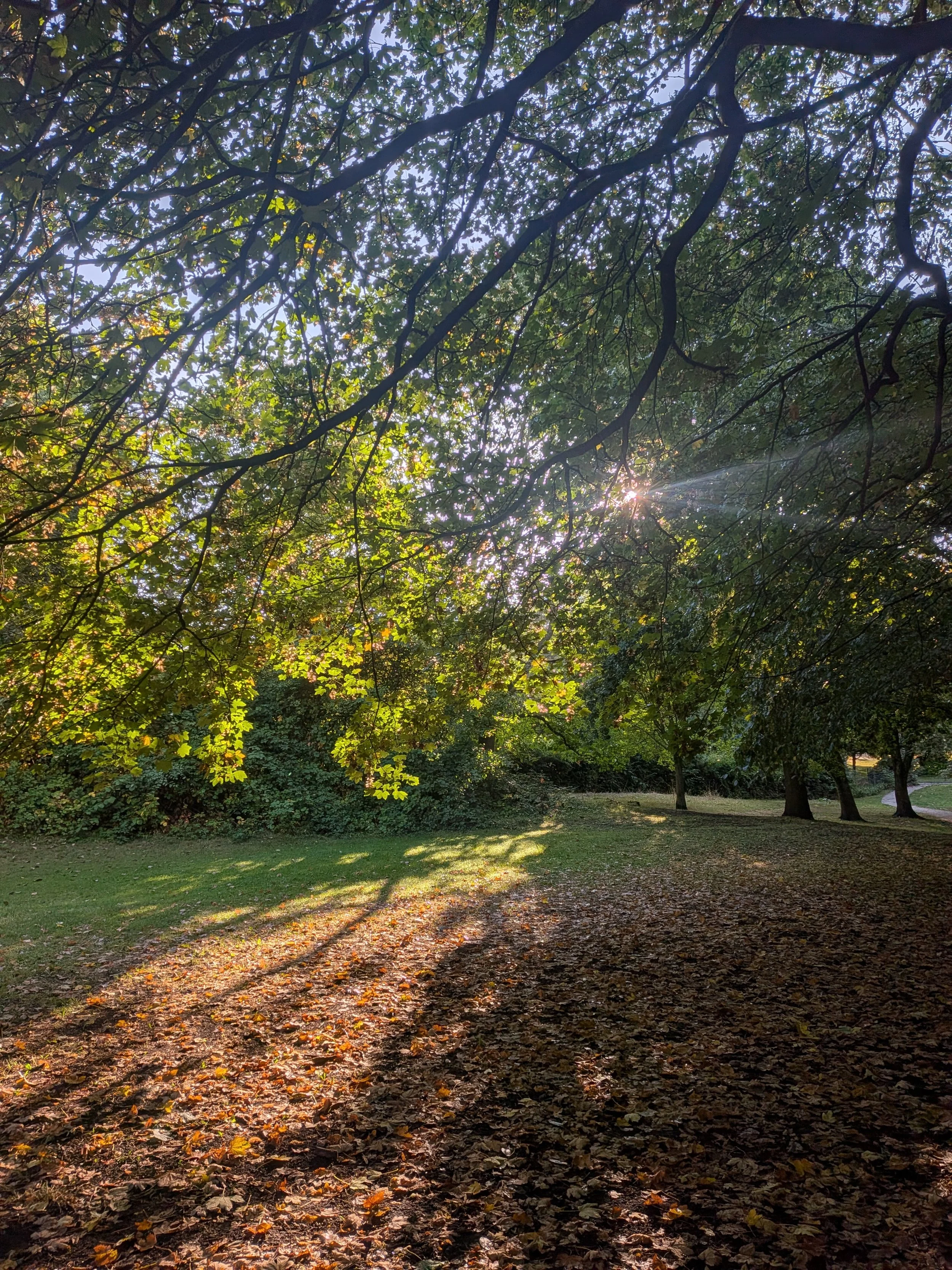 Late summer: the 5th season