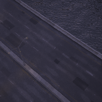 CM_Bird_01_130-310_1.gif