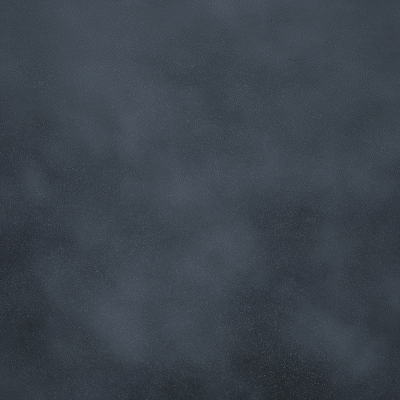CM_Bird_01_1.gif