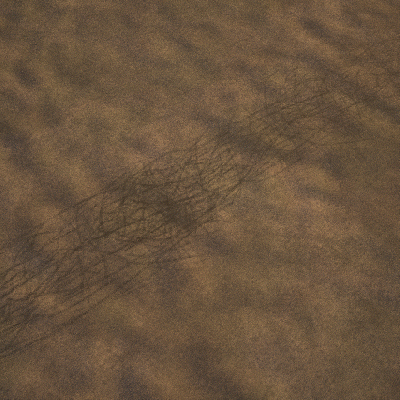 CM_Bird_02_1.gif