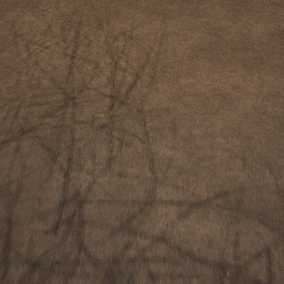 CM_Top_01_1.gif