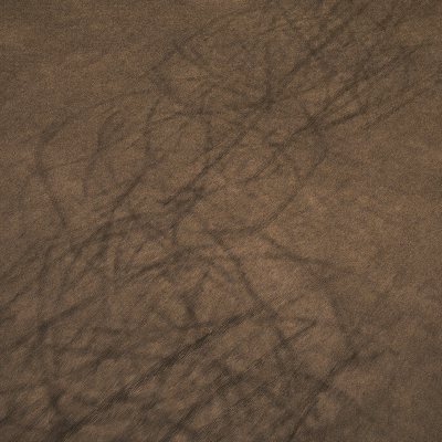 CM_Top_02_1.gif