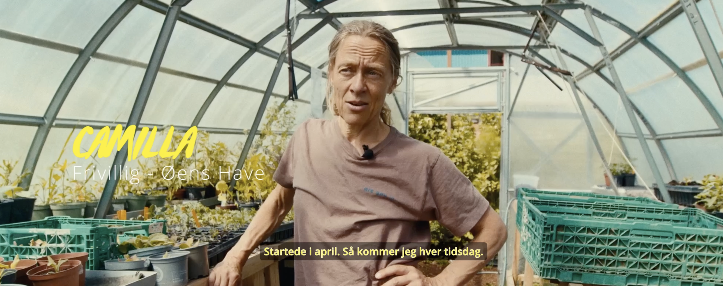 A woman standing inside a greenhouse, surrounded by potted plants and crates, with sunlight shining through the glass. The woman has long, light-colored hair, is wearing a brown t-shirt, and appears to be speaking.
