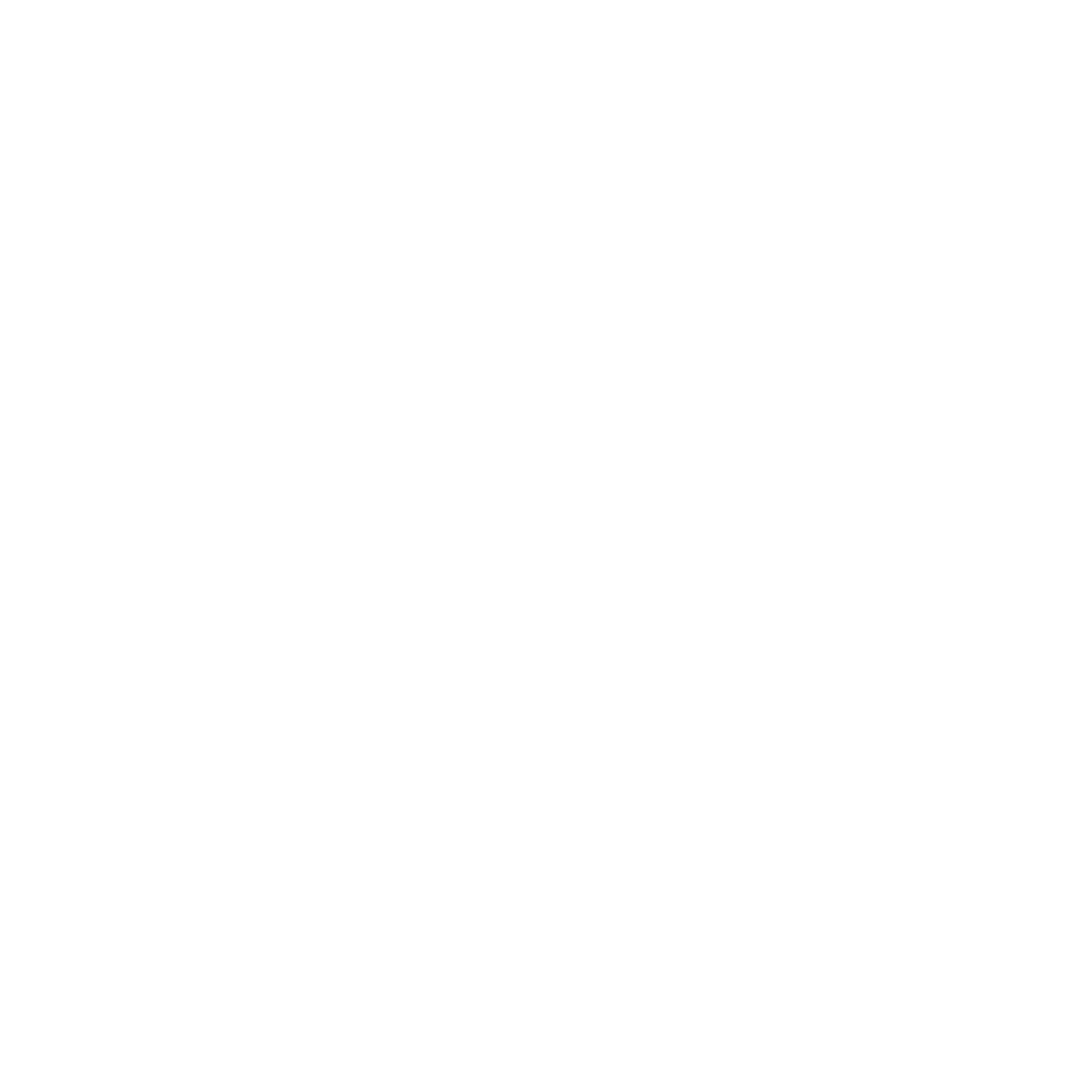 Stylized black and white illustration of a human brain.