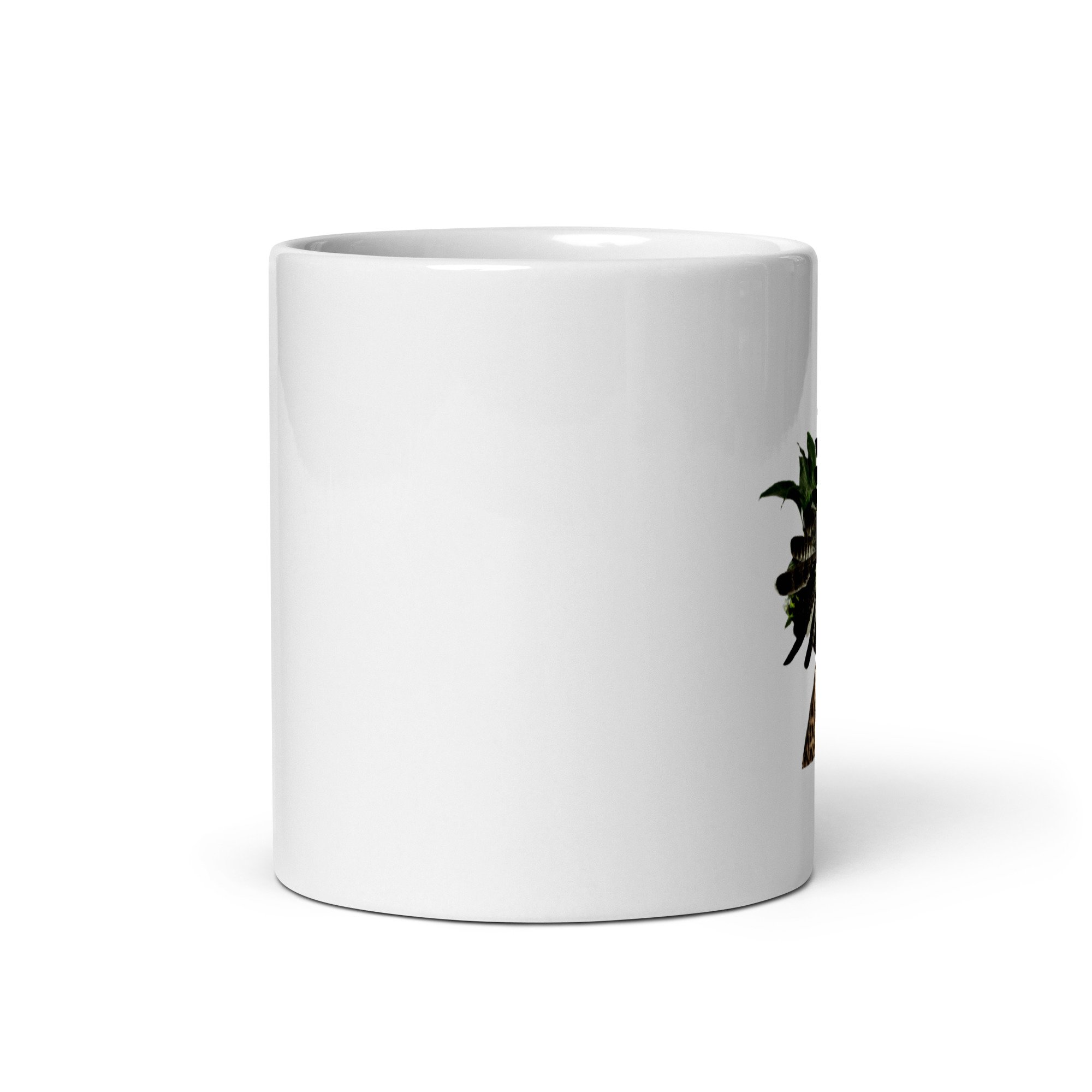 white-glossy-mug-white-11-oz-front-view-677ec3fd50bc4.jpg
