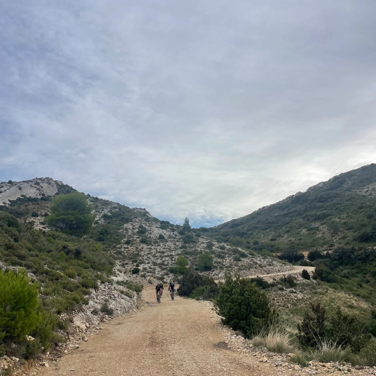 Alpilles Gravel, Gravel Social Club Provence Nov 2023 trip #gravelsocialclub #gravelsocialclubbers #gravelriding #alpillesgravel