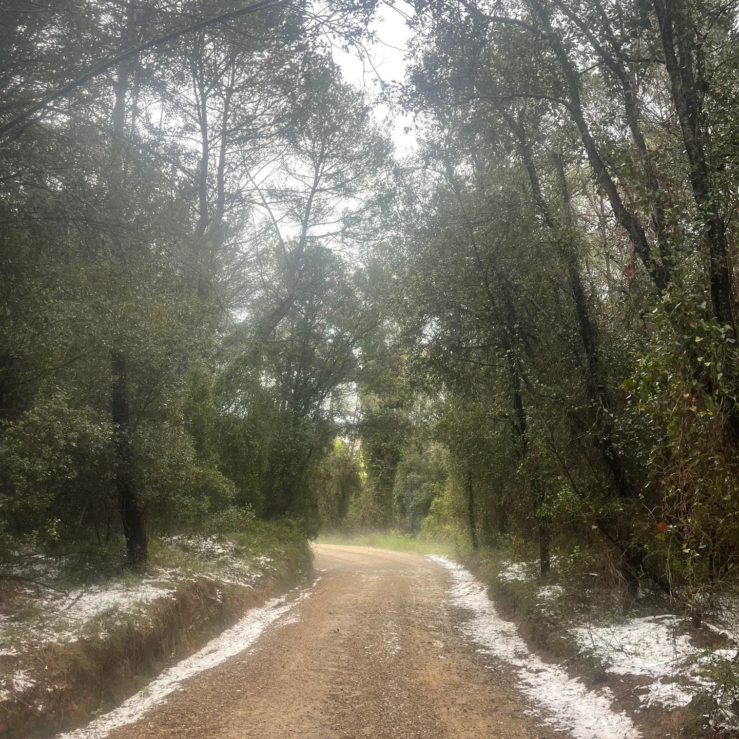 Girona Gravel, May 2nd 2024 following a hail storm during @thetraka Adventure "off" #gravelsocialclub #gravelsocialclubber #gravelriding #gironagravel