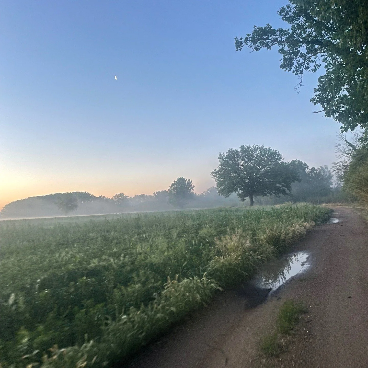 Girona Gravel, picture taken at 6:31 AM on May 3rd, during @thetraka Adventure "Off", unsupported and not organised 540km ride #gravelsocialclub #gravelsocialclubbers #gironagravel #gravelriding #trakaadventurer #traka560 #thetraka