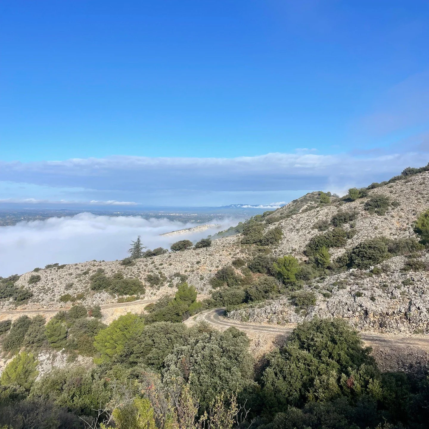 Montee de Vidauque, Provence... #gravelsocialclub #gravelsocialclubber #gravelprovence #provencegravel #gravelriding