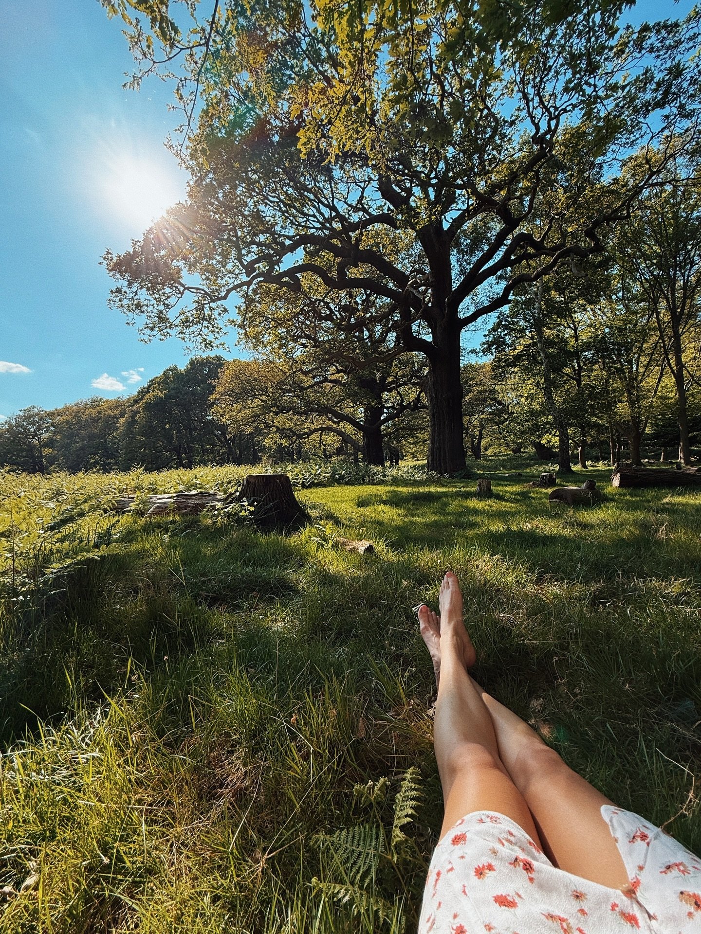 Happily romanticising life. 🦌
Funny when the romanticising becomes the reality.
Dream big. Don&rsquo;t give up. 
It&rsquo;s all happening and unfolding for you.
More beautifully than you imagined.
🌹
p.s. my new neighbourhood feels like heaven. 
Thi