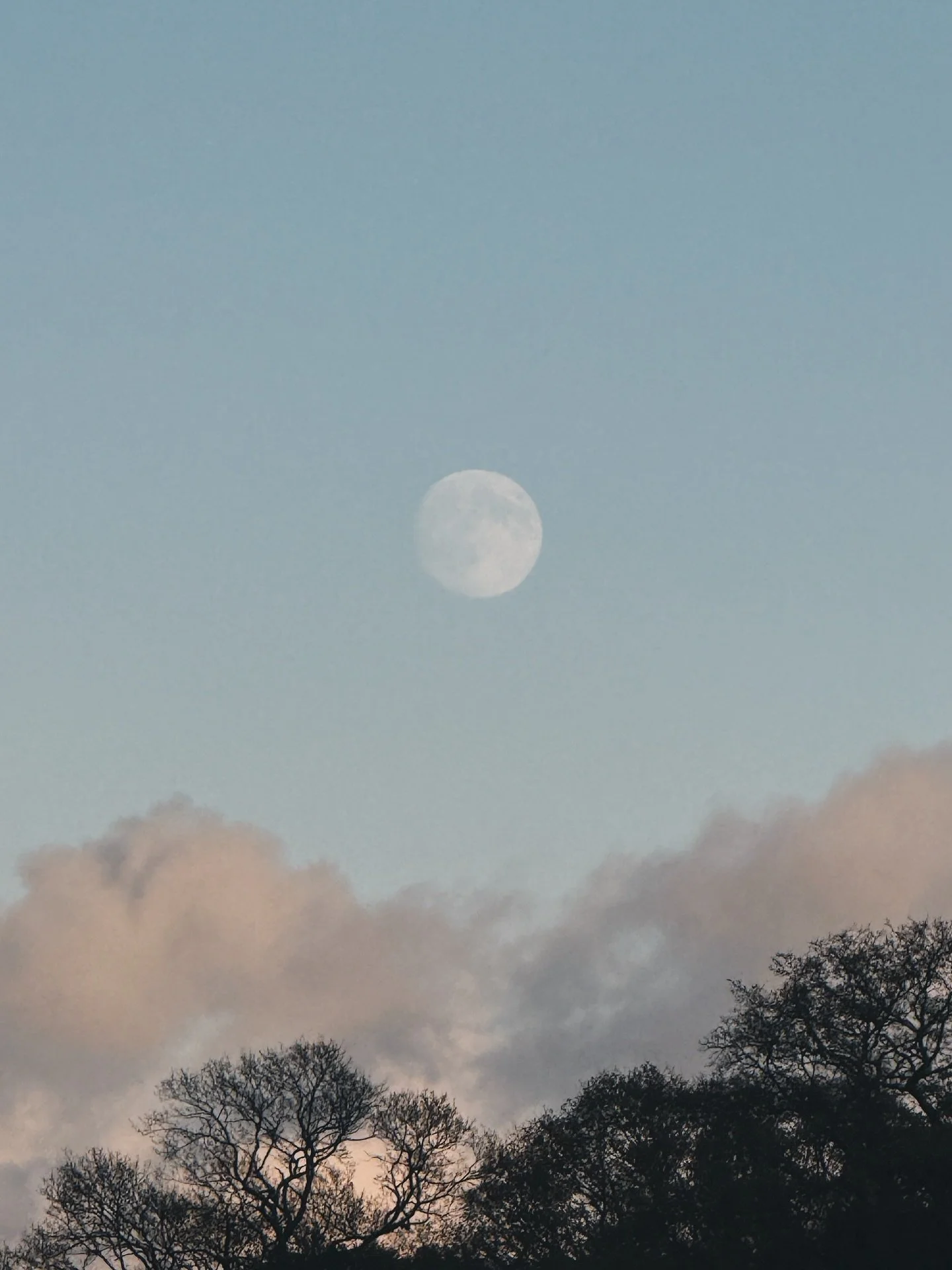 Life lately 🤍🪽 some small mundane moments that bring me joy. 
Feeling grateful beyond words.
Something big shifted for me this year. Something subtle that can&rsquo;t be physically seen, but something undeniably powerful.
I&rsquo;m feeling love and