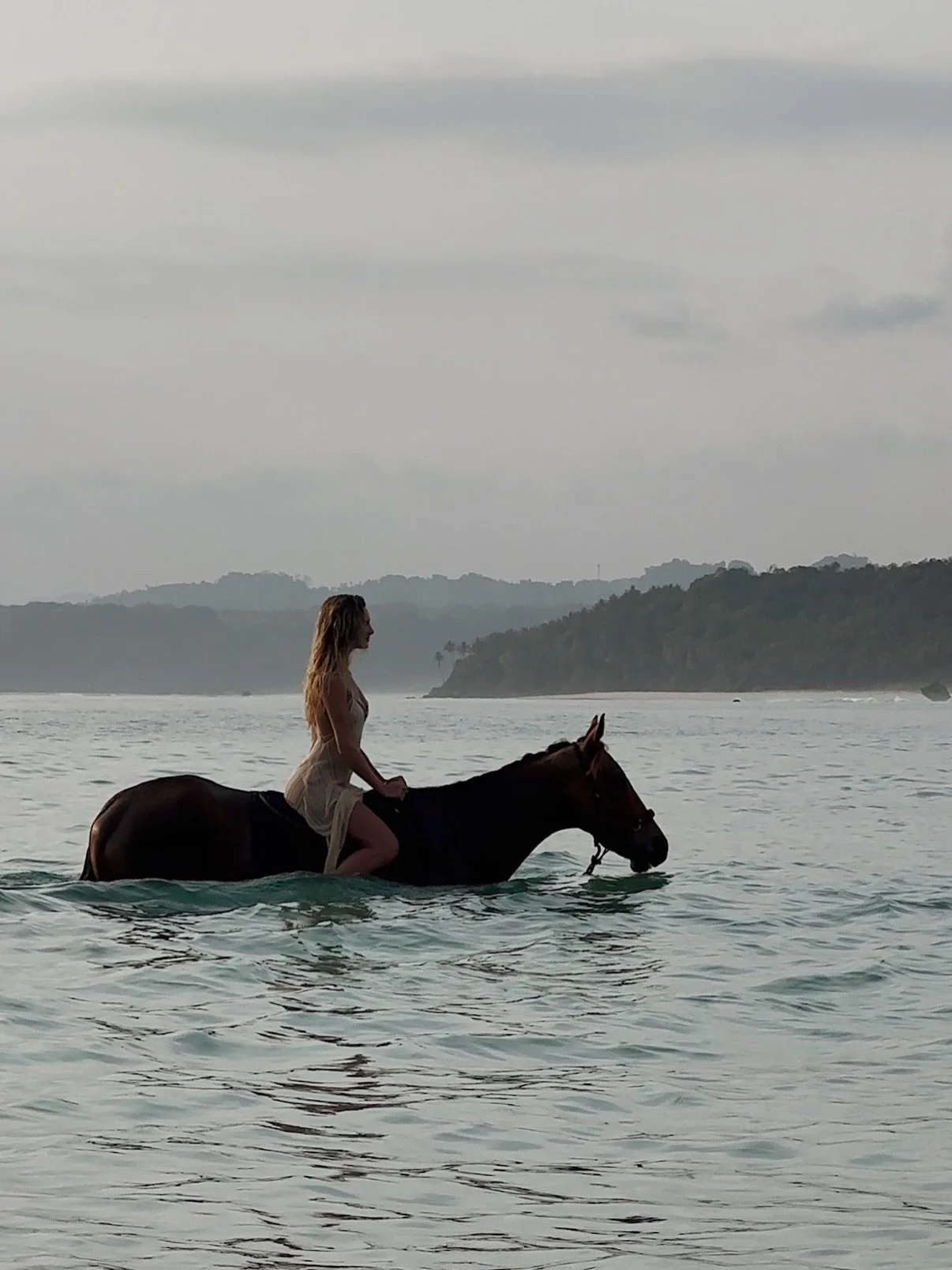 Today marks the first day of the Fire Horse in the Chinese New Year. I am SO ready for this new chapter! Who else? 🔥

The last year of the snake was a deep shedding, releasing old cycles, patterns, and identities that no longer align with who we&rsq