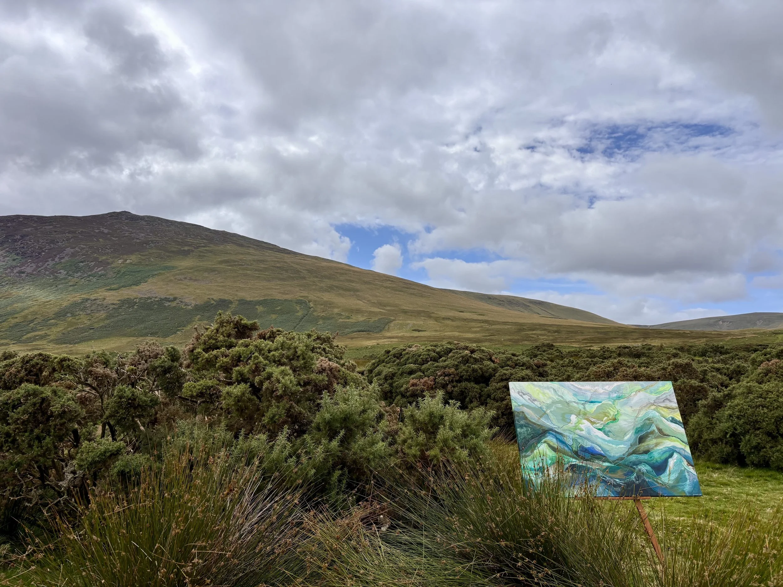 Charlotte Gurran Art - Derwent Flow .jpg