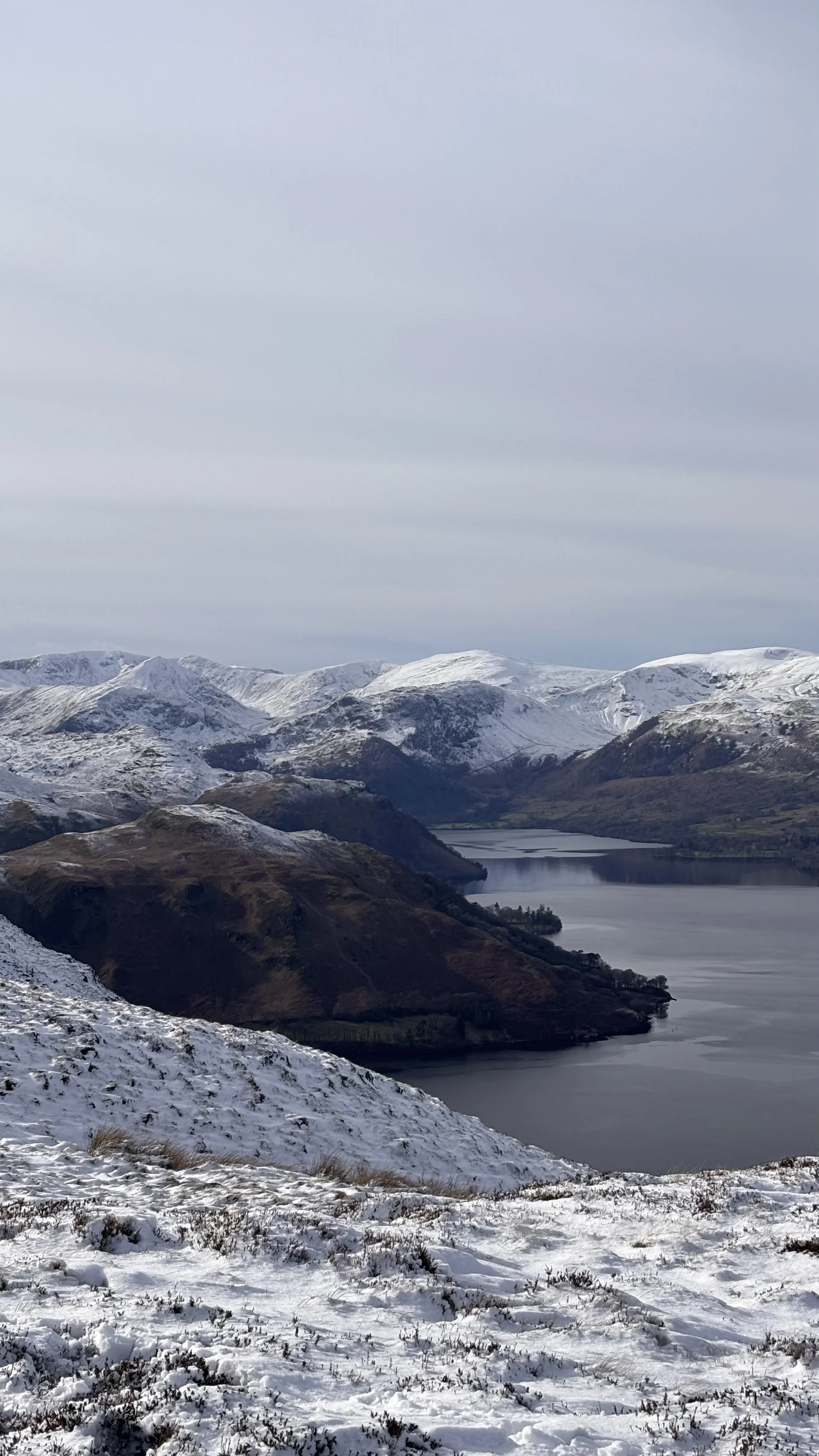 Snow Scene 2 - Charlotte Gurran Art .jpg