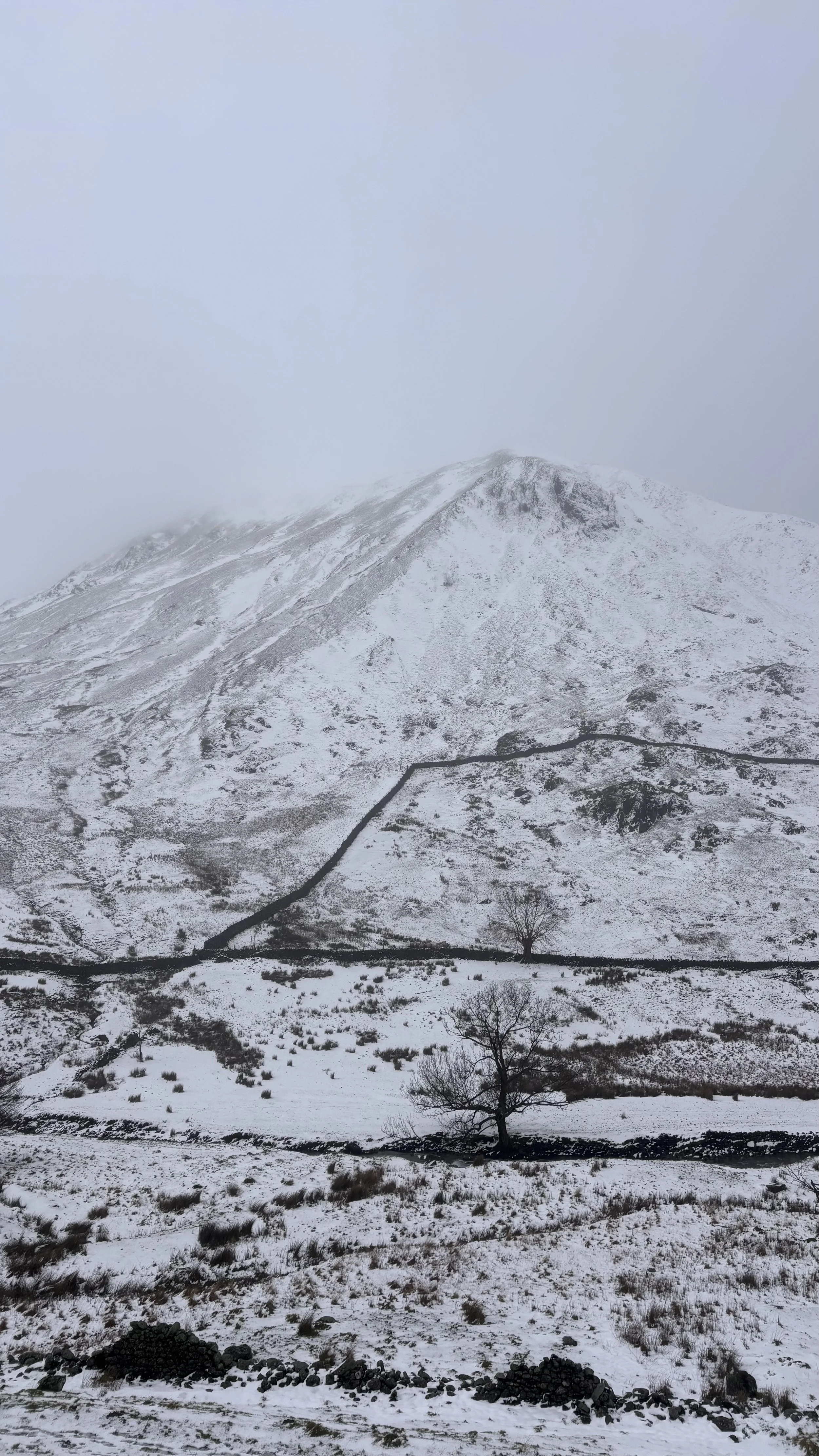 Snow Scene 3 - Charlotte Gurran Art .jpg