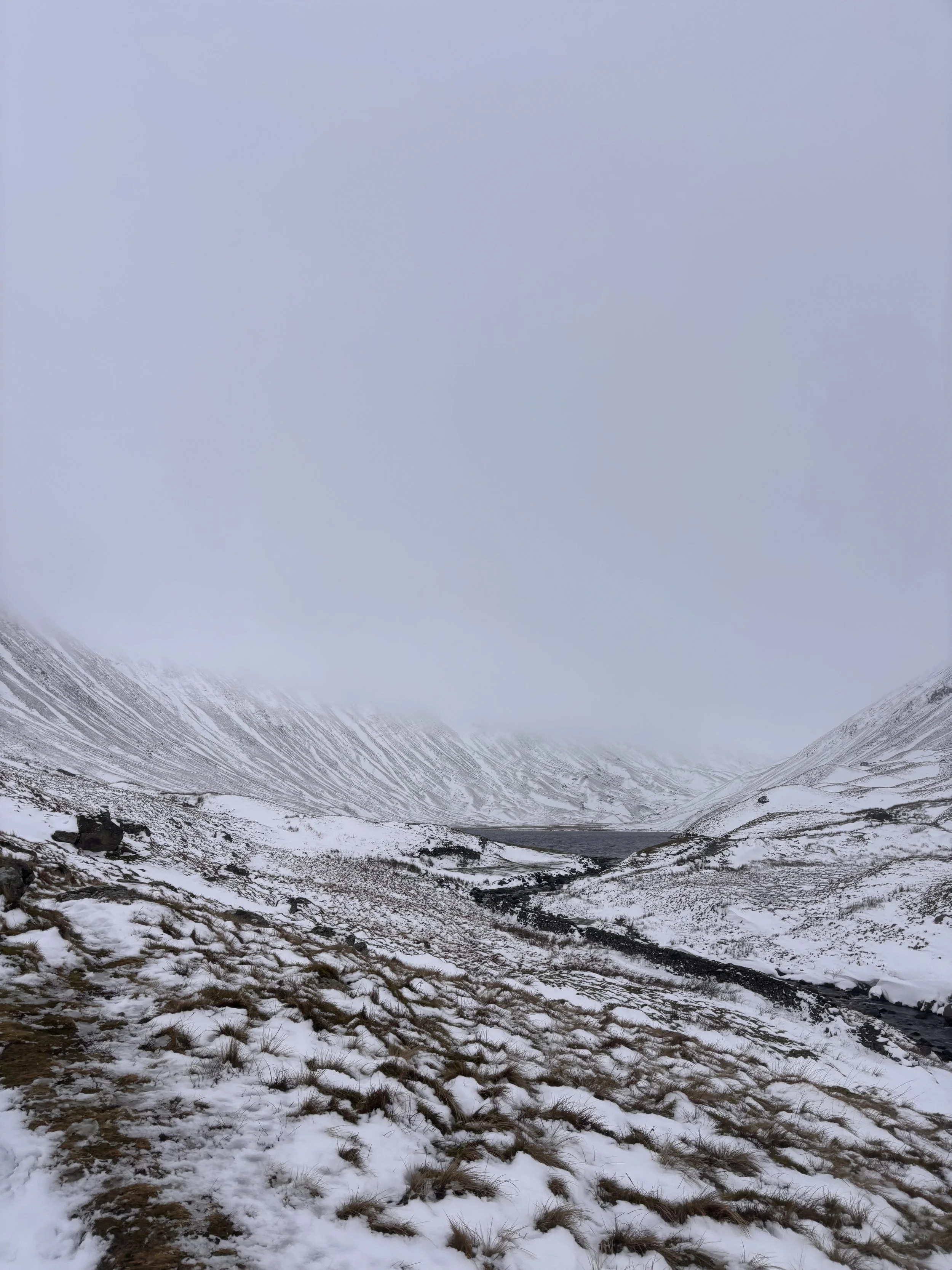 Snow Scene 4 - Charlotte Gurran Art .jpg