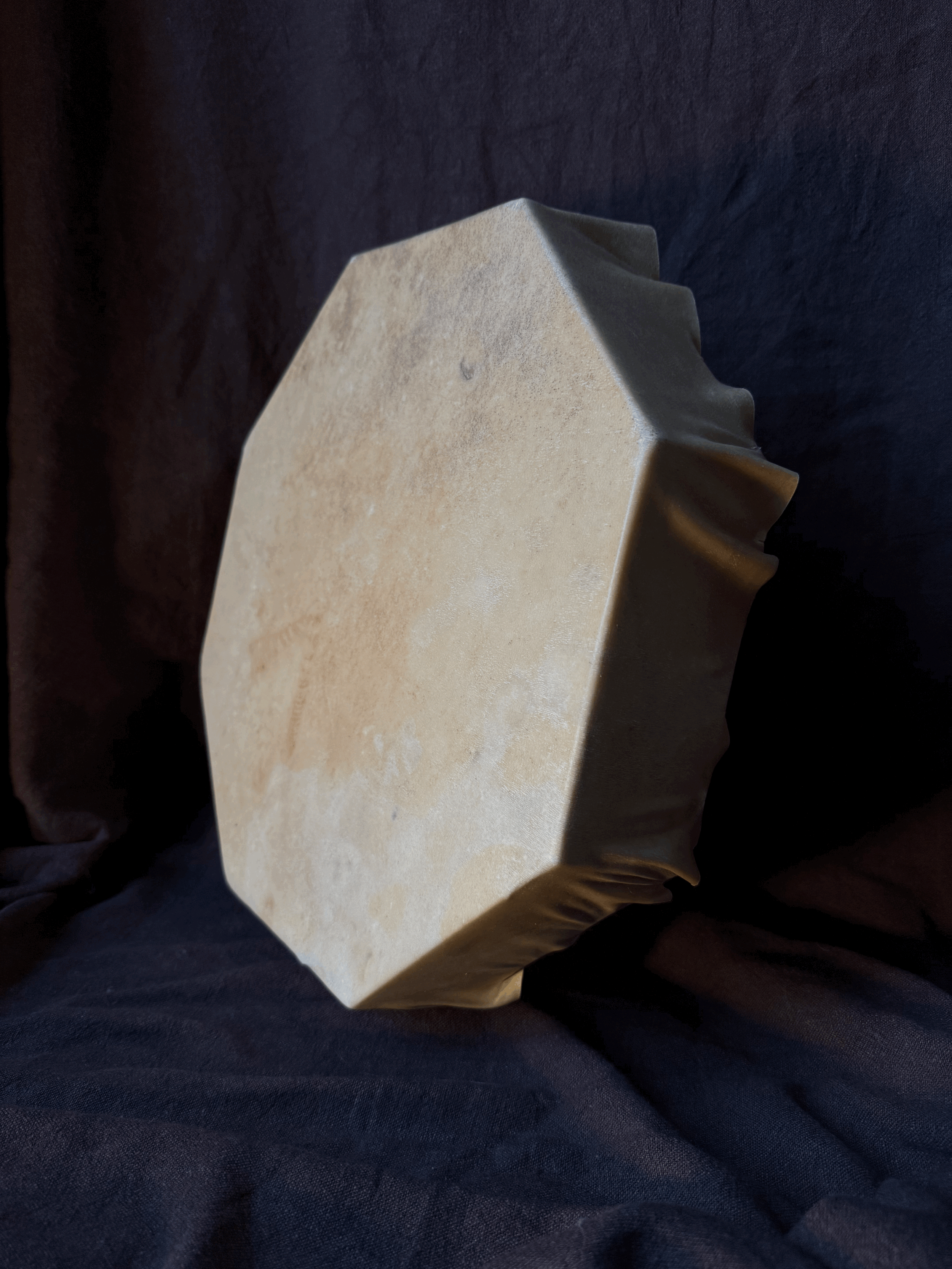 40 cm boar and wild boar