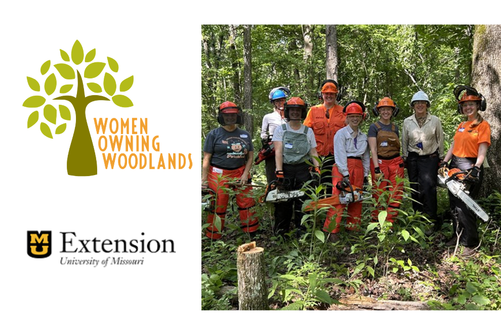 WOW Missouri - Beginner Chainsaw Safety Workshop Virtual Class #1