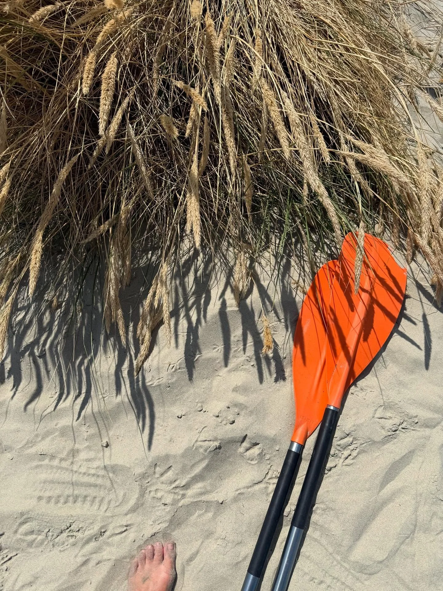 Keeping it salty #westwittering #uk #beach