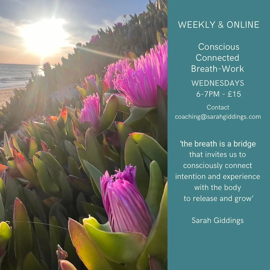 Join us! 

https://www.sarahgiddings.com/starthere

#breathworkhealing #release #grow #wholeperson #somatictherapy