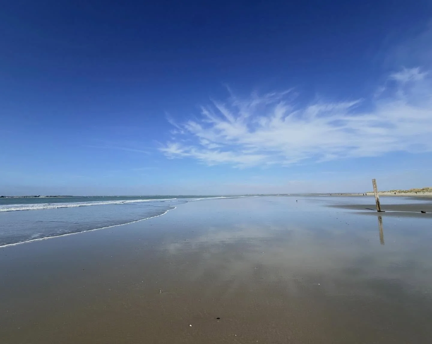 &ldquo;And then my soul saw you and it kind of went, &lsquo;Oh, there you are. I&rsquo;ve been looking for you.&rsquo;&rdquo; Ian S Thomas 

#ocean #lover #vitaminsea🌊☀️💙