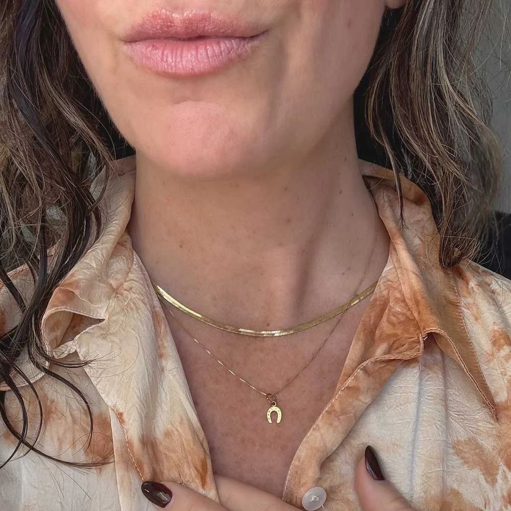 Tiny Horshoe Charm Necklace