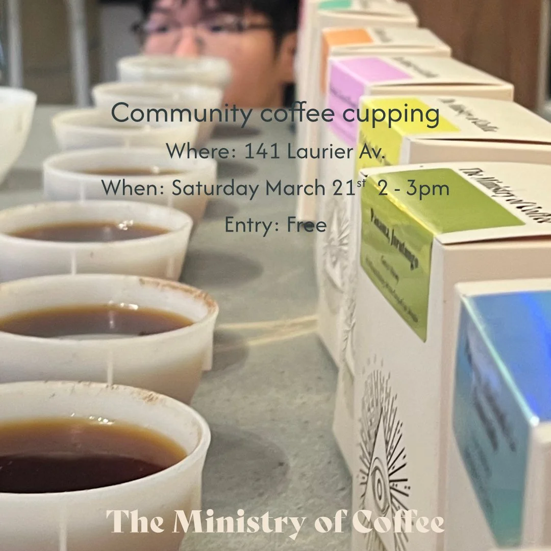Join us tomorrow for our next Community Coffee Cupping at The Ministry of Coffee, 141 Laurier Ave.

We&rsquo;ll be tasting through our full lineup of specialty coffees &mdash; including two brand‑new releases from Indonesia that just landed and are a