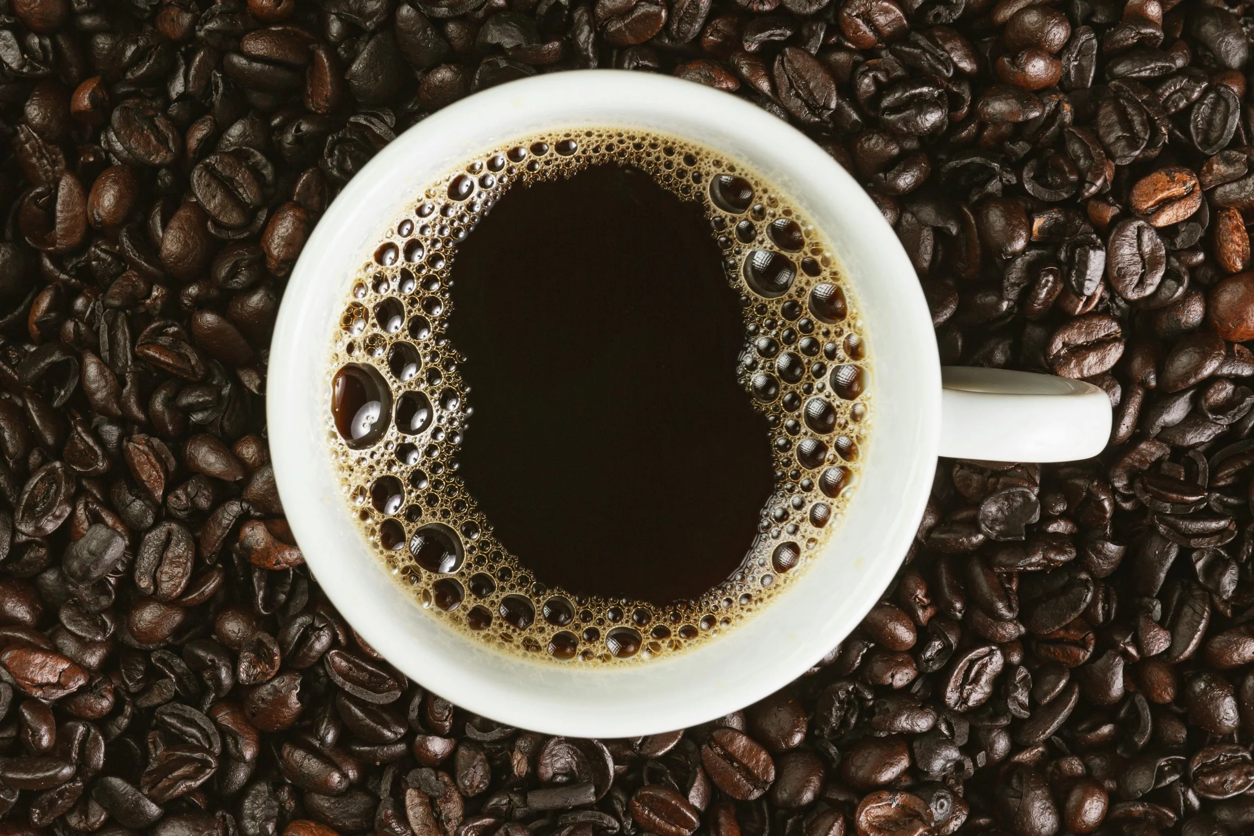 Why we dont do dark roast.