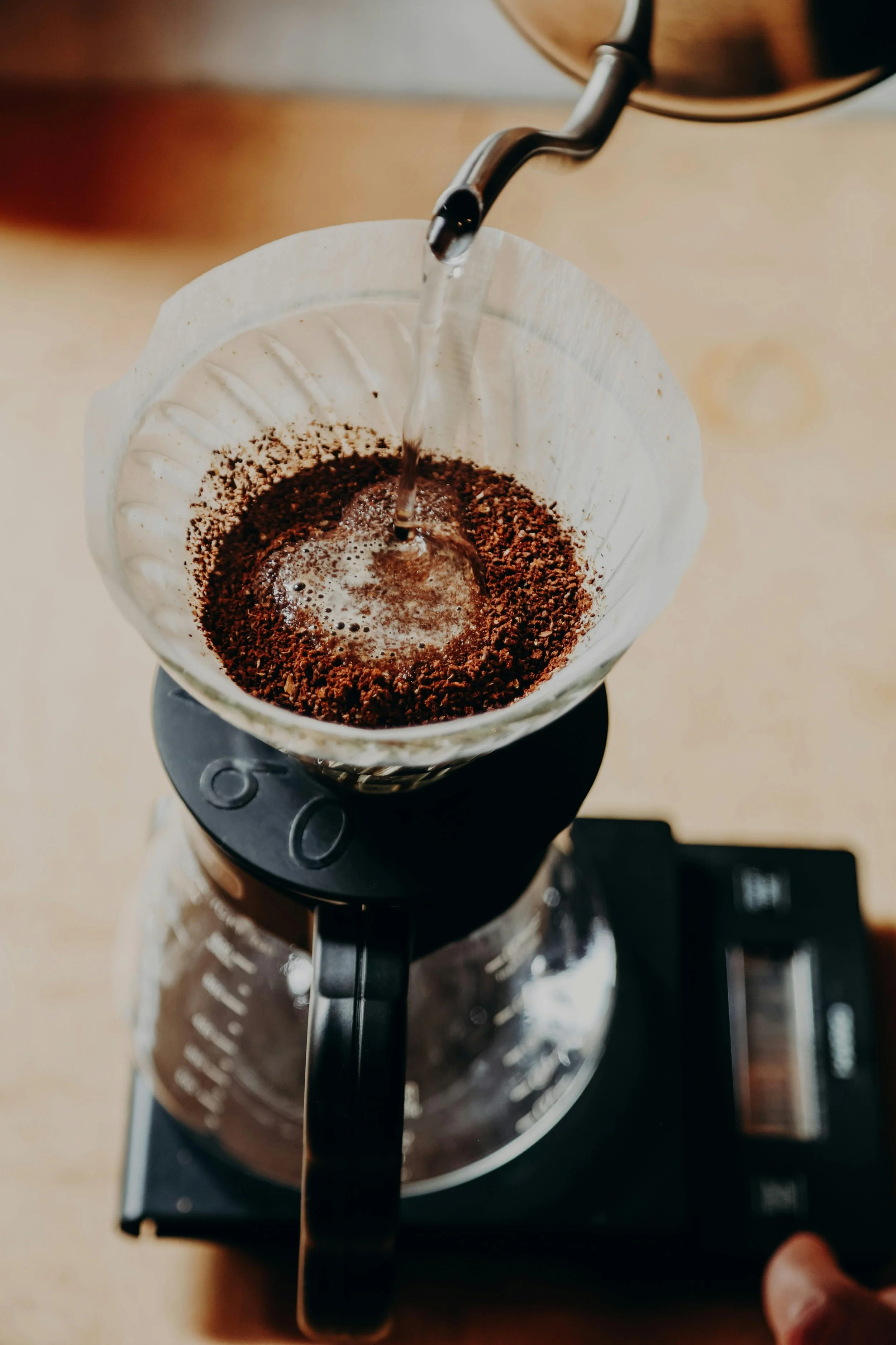 A Master Guide to Filter Brewers