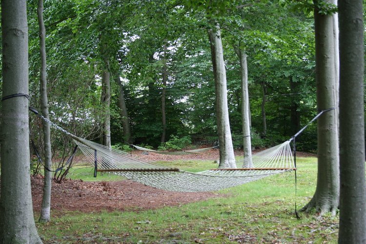 hammock.jpeg