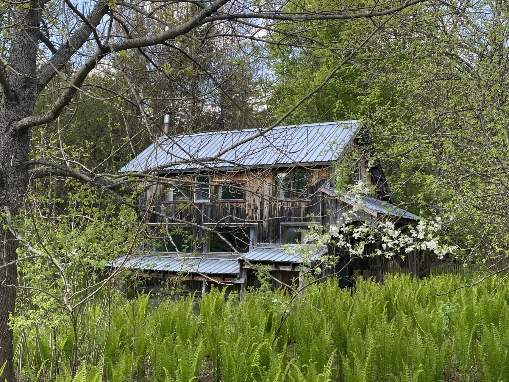 The Pond House