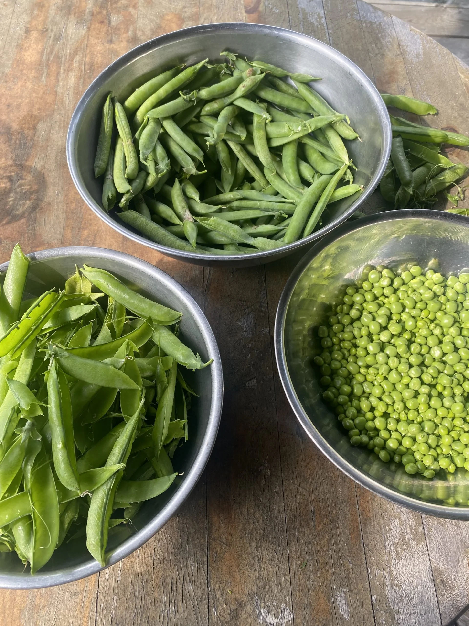sky meadow peas.jpeg