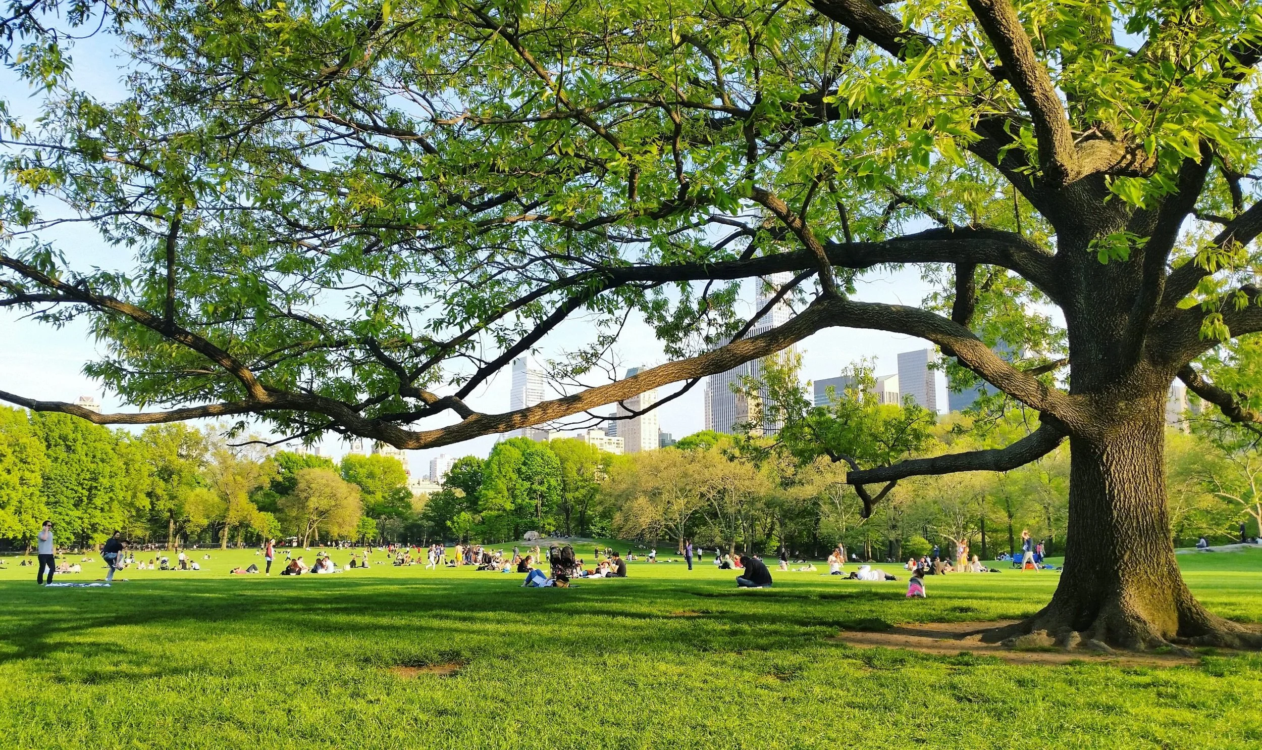 Earth Day Yoga in the Park