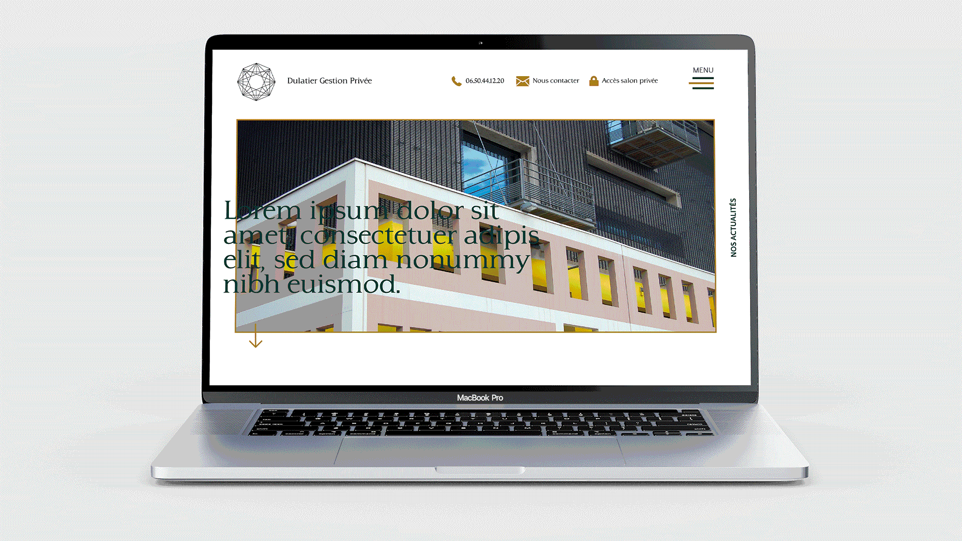 page_accueil_web_dgp.png