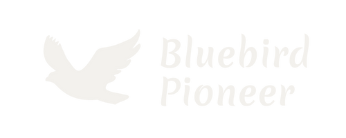 Logo von Bluebird Pioneer Webdesign