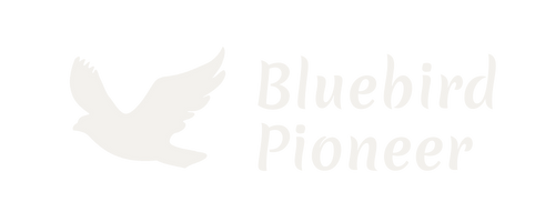 Logo von Bluebird Pioneer Webdesign